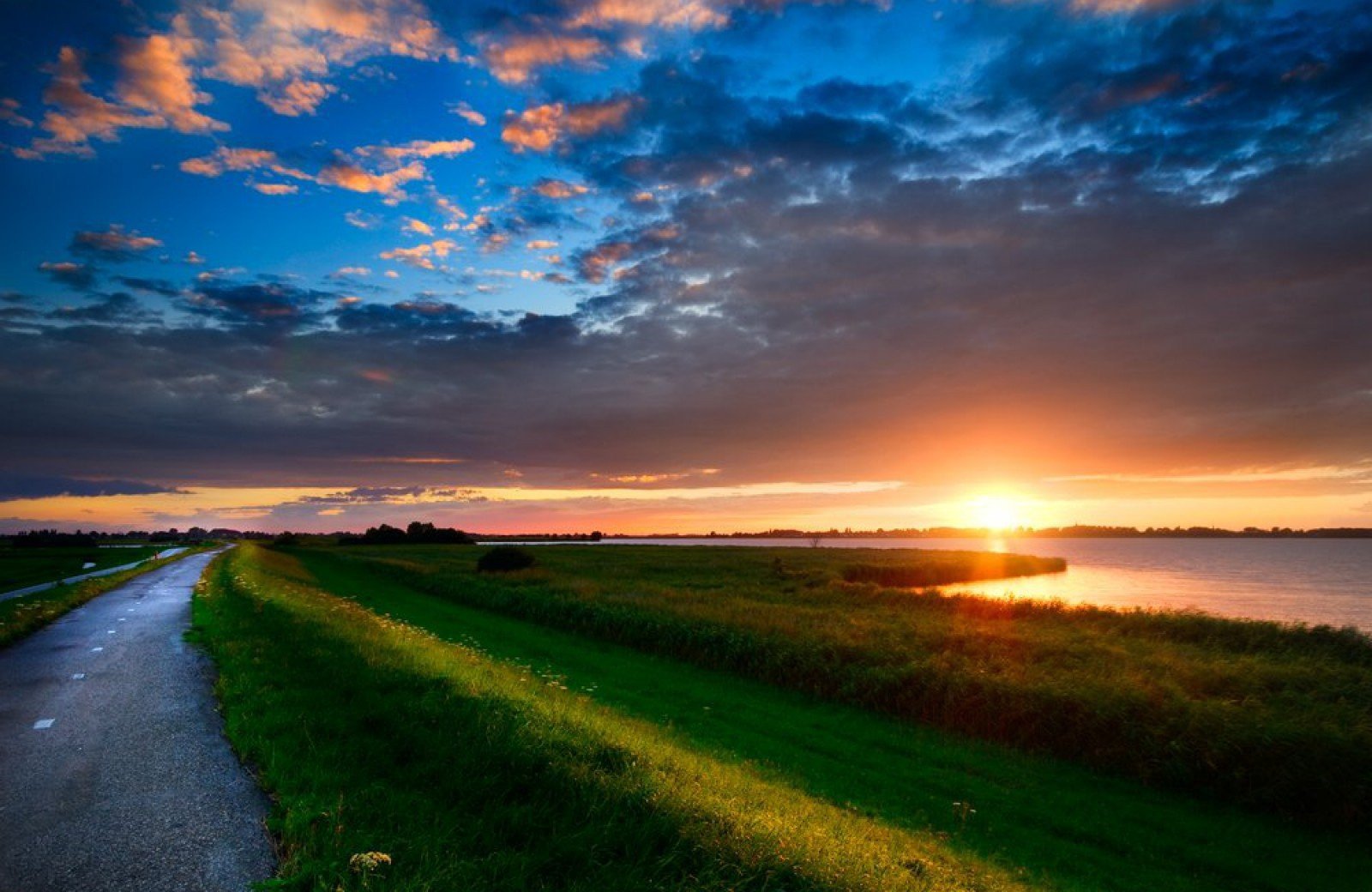 Shutterstock15455269